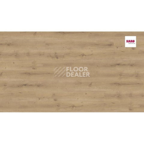Haro Daily Edition 8 mm 541343 Дуб Бреда Пуро фото 2 | FLOORDEALER